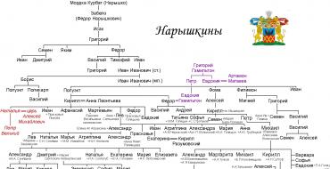 Keluarga Naryshkin ada dalam darah kita Sejarah keluarga Naryshkin