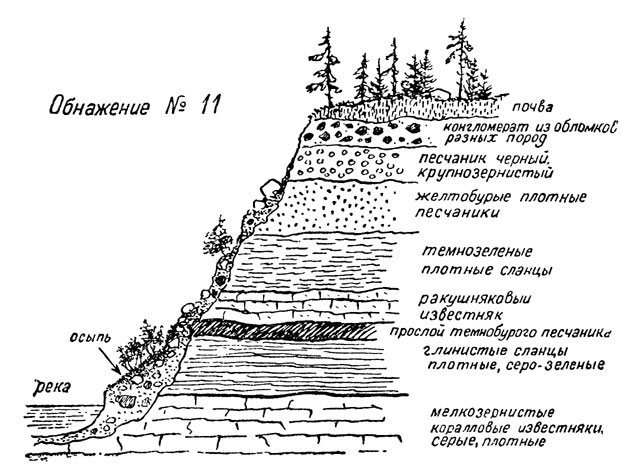 Схема осадочных пород