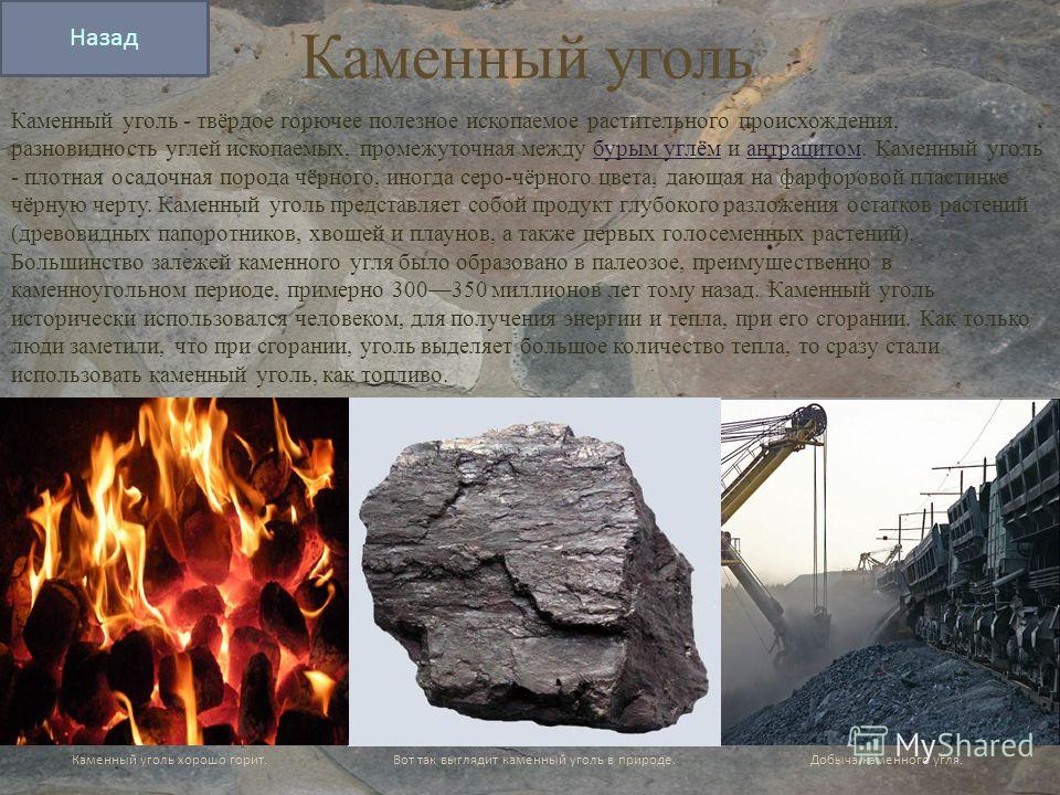 Каменный уголь рассказ. Каменный уголь. Полезные ископаемые уголь. Полезные ископаемые каменный уголь. Уголь полезное ископаемое.